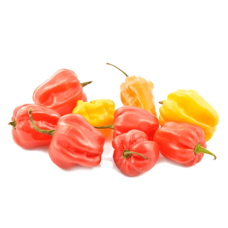 A colourful assortment of Scotch bonnet peppers